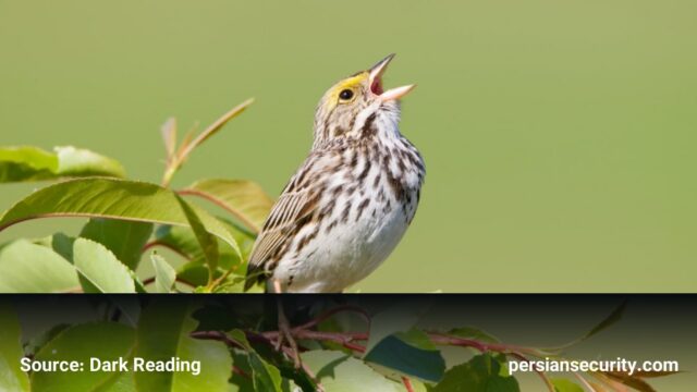 جاسوسی سایبری گروه FamousSparrow از دولت‌های آمریکای لاتین با بدافزار جدید SparroWocky