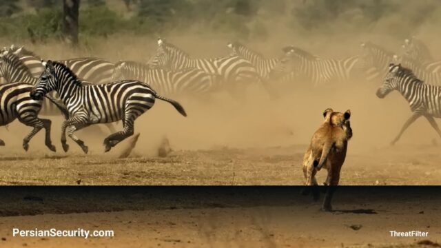 موفقیت عملیات Serengeti III اینترپل؛ بیش از ۱۴۰۰ بازداشت و انهدام شبکه‌های جرایم سایبری