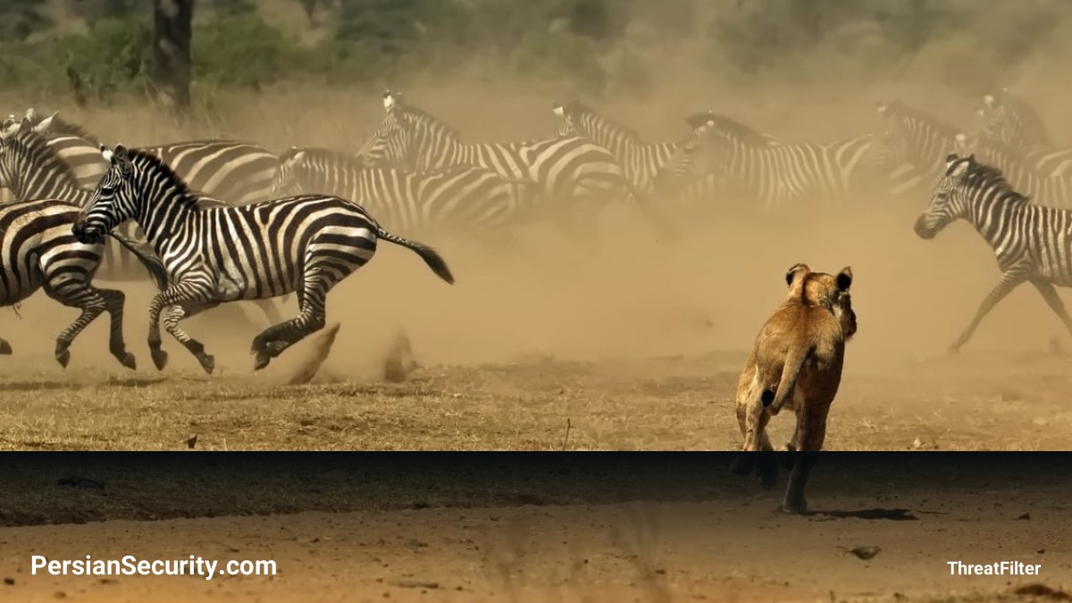 موفقیت عملیات Serengeti III اینترپل؛ بیش از ۱۴۰۰ بازداشت و انهدام شبکه‌های جرایم سایبری