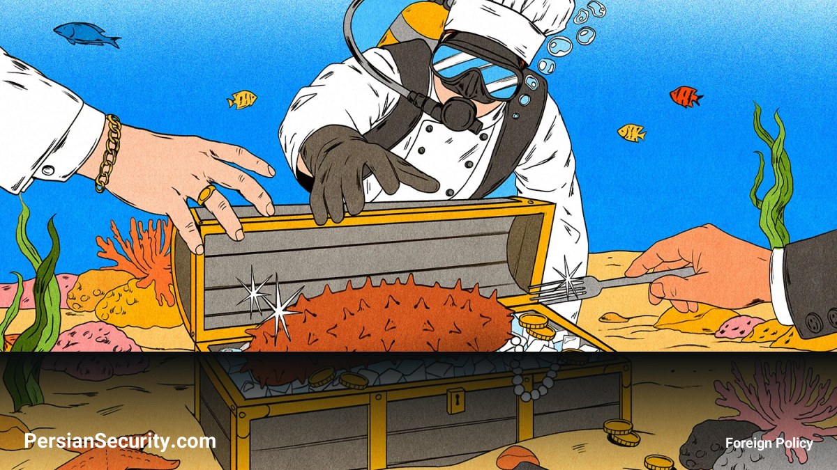 شبکه‌های قاچاق بین‌المللی و جایگاه غیرمنتظرهe «خیار دریایی» در معاملات مواد مخدر